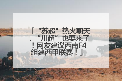 “苏超”热火朝天，“川超”也要来了！网友建议西南F4组建西甲联赛！