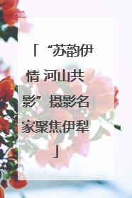 “苏韵伊情 河山共影”摄影名家聚焦伊犁
