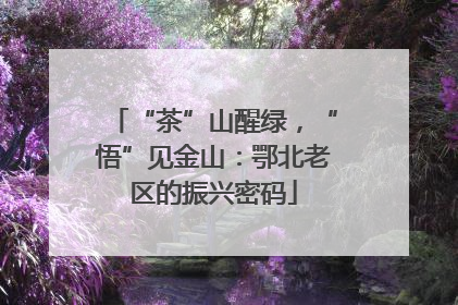 “茶”山醒绿，“悟”见金山：鄂北老区的振兴密码