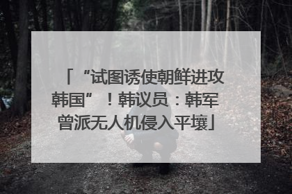 “试图诱使朝鲜进攻韩国”！韩议员：韩军曾派无人机侵入平壤