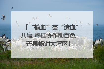 “输血”变“造血”共赢 粤桂协作助百色芒果畅销大湾区
