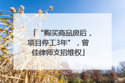 “购买商品房后，项目停工3年”，曾佳律师支招维权