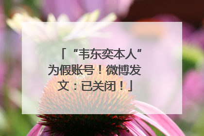 “韦东奕本人”为假账号！微博发文：已关闭！