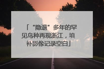 “隐退”多年的罕见鸟种再现浙江，填补影像记录空白