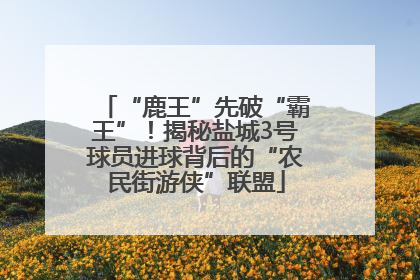 “鹿王”先破“霸王”！揭秘盐城3号球员进球背后的“农民街游侠”联盟