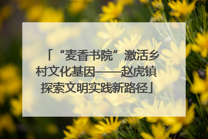 “麦香书院”激活乡村文化基因——赵虎镇探索文明实践新路径