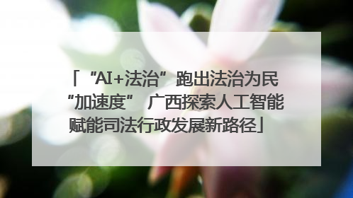 “AI+法治”跑出法治为民“加速度” 广西探索人工智能赋能司法行政发展新路径