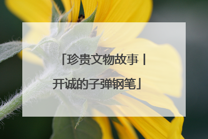 珍贵文物故事丨开诚的子弹钢笔