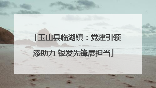 玉山县临湖镇：党建引领添助力 银发先锋展担当