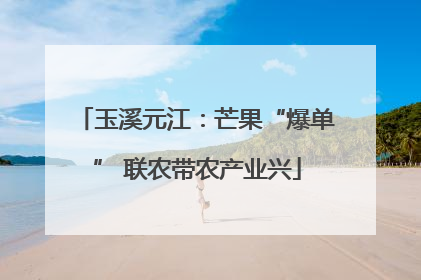 玉溪元江：芒果“爆单” 联农带农产业兴
