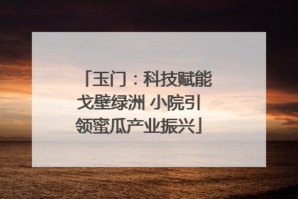 玉门：科技赋能戈壁绿洲 小院引领蜜瓜产业振兴