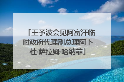 王予波会见阿富汗临时政府代理副总理阿卜杜·萨拉姆·哈纳菲