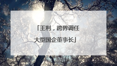 王利，跨界调任大型国企董事长