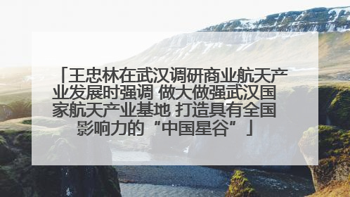 王忠林在武汉调研商业航天产业发展时强调 做大做强武汉国家航天产业基地 打造具有全国影响力的“中国星谷”