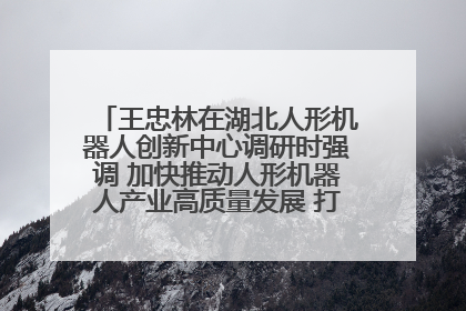 王忠林在湖北人形机器人创新中心调研时强调 加快推动人形机器人产业高质量发展 打造具有全国影响力的研发创新基地