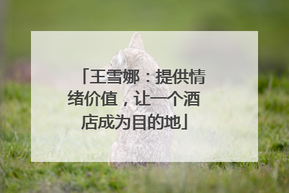 王雪娜：提供情绪价值，让一个酒店成为目的地