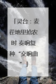 灵台：麦茬地里抢农时 奏响复种“交响曲”
