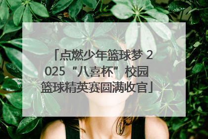 点燃少年篮球梦 2025“八喜杯”校园篮球精英赛圆满收官