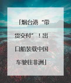 烟台港“带货交付”！出口船装载中国车驶往非洲