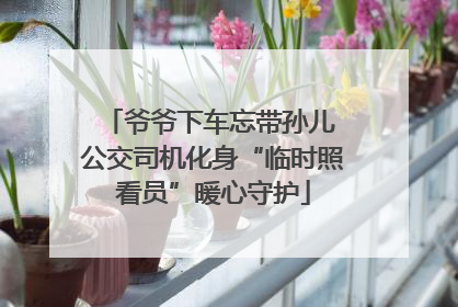 爷爷下车忘带孙儿 公交司机化身“临时照看员”暖心守护
