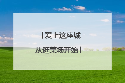 爱上这座城 从逛菜场开始