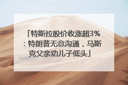 特斯拉股价收涨超3%：特朗普无意沟通，马斯克父亲劝儿子低头