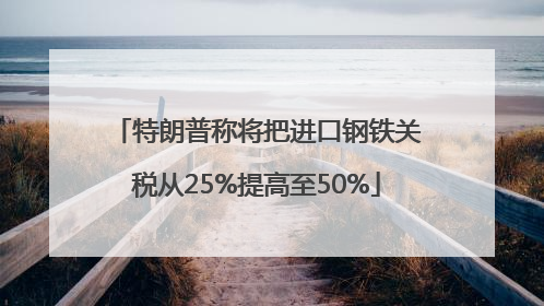 特朗普称将把进口钢铁关税从25%提高至50%