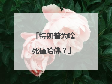 特朗普为啥死磕哈佛？
