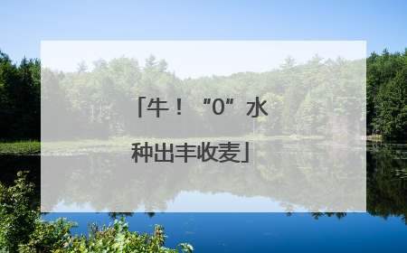 牛！“0”水种出丰收麦