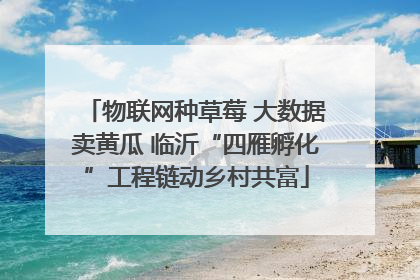 物联网种草莓 大数据卖黄瓜 临沂“四雁孵化”工程链动乡村共富