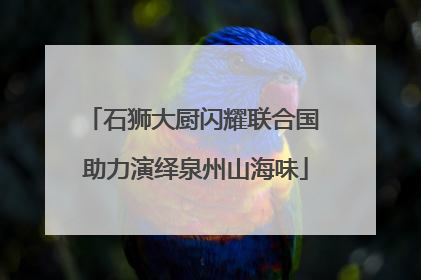 石狮大厨闪耀联合国 助力演绎泉州山海味