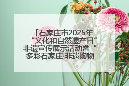 石家庄市2025年“文化和自然遗产日”非遗宣传展示活动暨“多彩石家庄·非遗购物节”倒计时1天