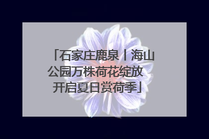 石家庄鹿泉丨海山公园万株荷花绽放 开启夏日赏荷季