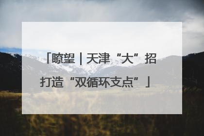 瞭望｜天津“大”招打造“双循环支点”