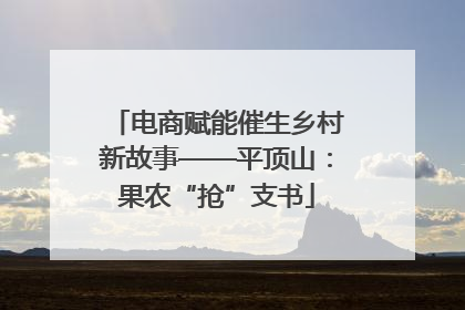 电商赋能催生乡村新故事——平顶山：果农“抢”支书