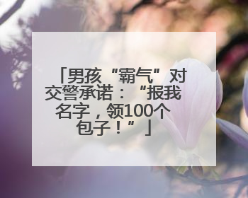 男孩“霸气”对交警承诺：“报我名字，领100个包子！”