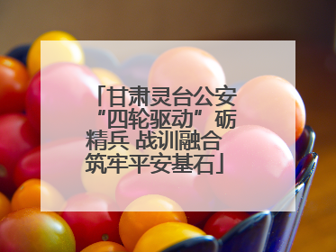 甘肃灵台公安“四轮驱动”砺精兵 战训融合筑牢平安基石
