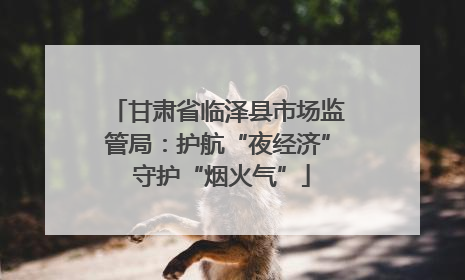 甘肃省临泽县市场监管局：护航“夜经济” 守护“烟火气”