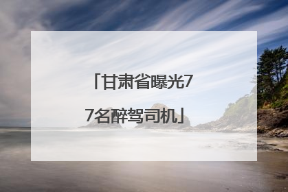 甘肃省曝光77名醉驾司机