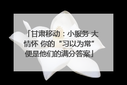 甘肃移动：小服务 大情怀 你的“习以为常”便是他们的满分答案