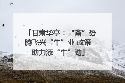 甘肃华亭：“畜”势腾飞兴“牛”业 政策助力添“牛”劲