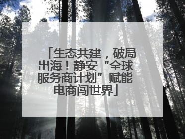 生态共建，破局出海！静安“全球服务商计划”赋能电商闯世界