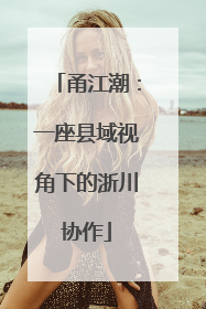 甬江潮：一座县域视角下的浙川协作