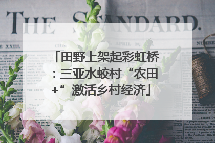 田野上架起彩虹桥：三亚水蛟村“农田+”激活乡村经济