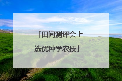 田间测评会上选优种学农技