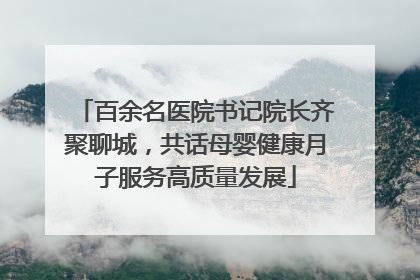 百余名医院书记院长齐聚聊城，共话母婴健康月子服务高质量发展
