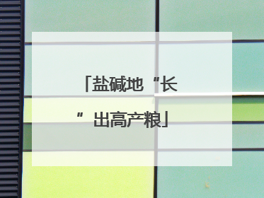 盐碱地“长”出高产粮