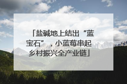 盐碱地上结出“蓝宝石”，小蓝莓串起乡村振兴全产业链