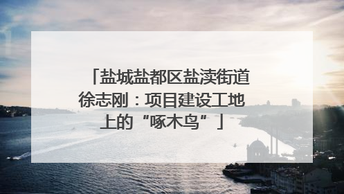 盐城盐都区盐渎街道徐志刚：项目建设工地上的“啄木鸟”
