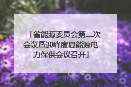 省能源委员会第二次会议暨迎峰度夏能源电力保供会议召开